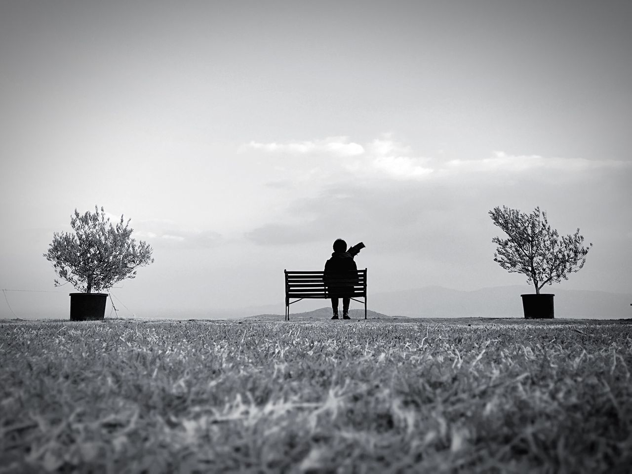 sky, lifestyles, tranquility, men, tree, leisure activity, tranquil scene, relaxation, landscape, field, bench, sitting, nature, day, full length, copy space, person, grass