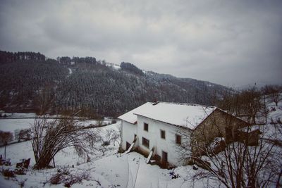 Snow covered houses and trees against sky