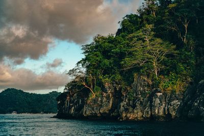 Scenic view of sea and trees against sky