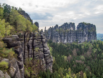 View of schrammsteine and forests. popular climbers resort. deep cracks in rocks by rain erosion.