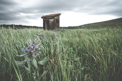 Abandoned built structure amidst field at dusk