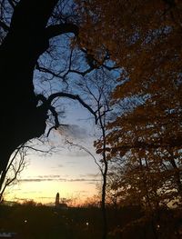 Silhouette trees against sky during sunset