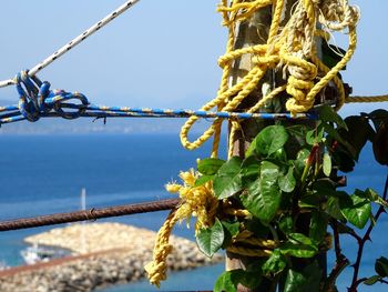 Close-up of rope tied on metal against sky