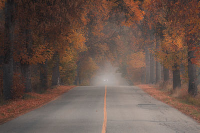 Road amidst trees during autumn