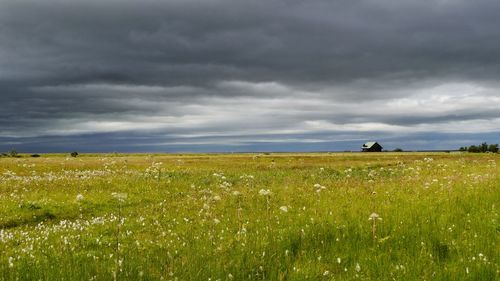 Scenic view of field against sky with dramatic sky