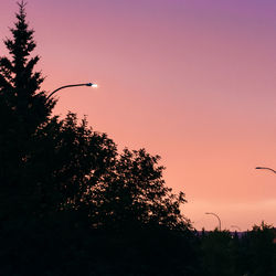 Low angle view of silhouette trees against sky during sunset