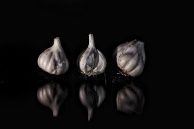 Close-up of garlic against black background