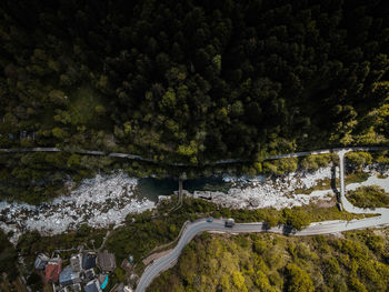 High angle view of road amidst trees in forest