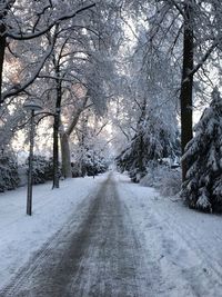 Snow covered road amidst trees