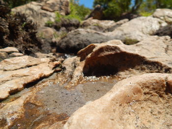 Close-up of rocks on beach