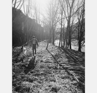 full length, transfer print, walking, lifestyles, tree, rear view, leisure activity, auto post production filter, the way forward, men, standing, bare tree, forest, animal themes, person, dirt road, domestic animals