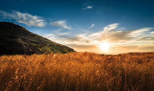 Scenic view of grassy field by mountain against sky