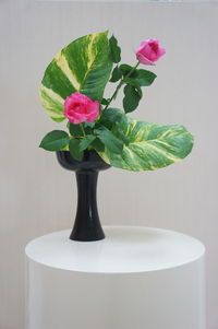 Close-up of flower vase against white background
