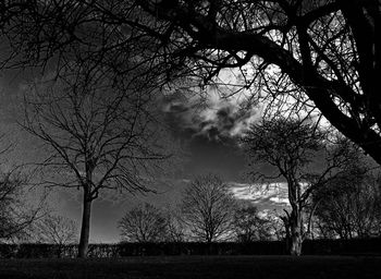 Silhouette trees on field against sky