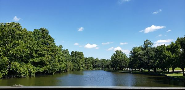 Scenic view of lake amidst trees against blue sky