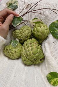 Close-up of hand holding fruit