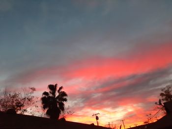 Low angle view of silhouette trees against dramatic sky
