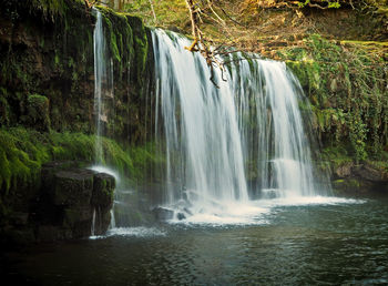 View of waterfall in forest