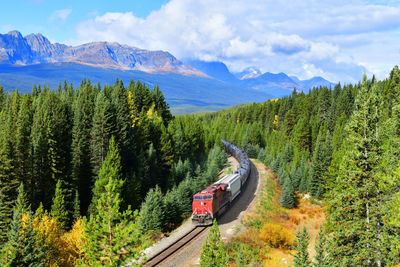 Long freight train moving along in banff national park, canadian rockies ,canada.