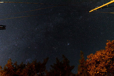 Low angle view of trees against sky at night