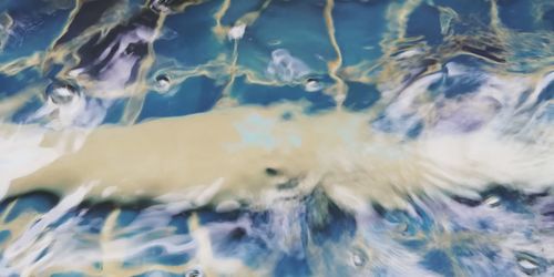 Full frame shot of jellyfish swimming in sea