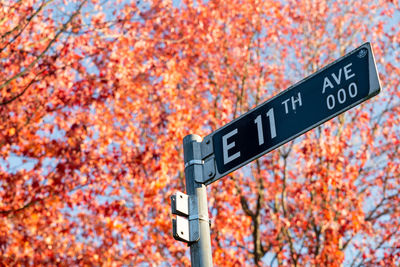 Close-up of road sign