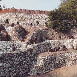 View of old ruin building