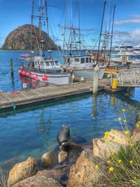 View of sailboats moored in sea