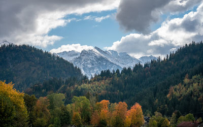 Scenic view of trees and mountains against sky