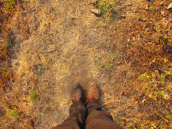 Low section of person standing on field