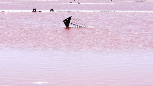 Man working on beach