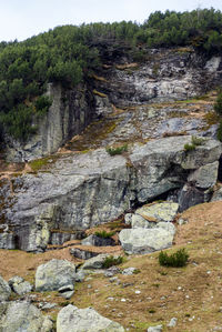 View of rock formation amidst trees