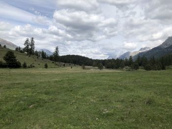 Scenic view of field against sky
