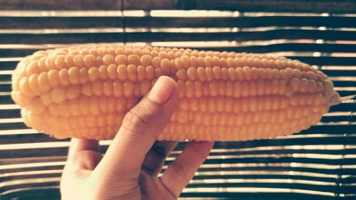 Close-up of hand holding bread