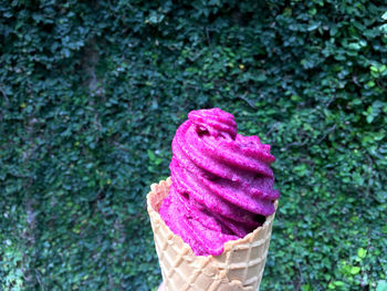 Close-up of ice cream cone on plant