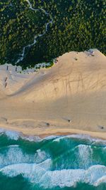 Aerial view of beach by trees