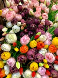 Full frame shot of multi colored roses