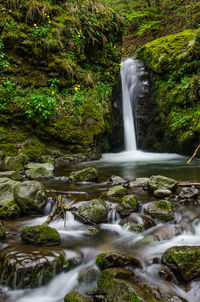 Scenic view of waterfall in forest