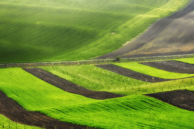 Scenic view of grassy hill