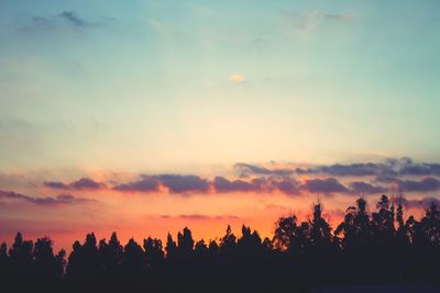 Low angle view of silhouette trees against sky during sunset