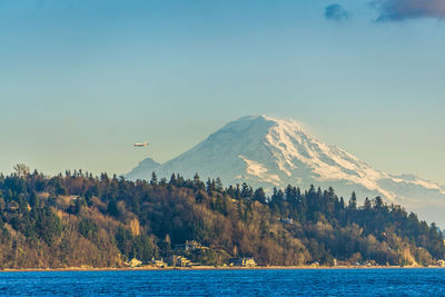 A view of a point with trees and mount rainier in burien, washington.