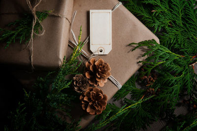 Close-up of christmas tree and gifts