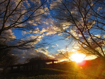 Silhouette trees on field against sky at sunset