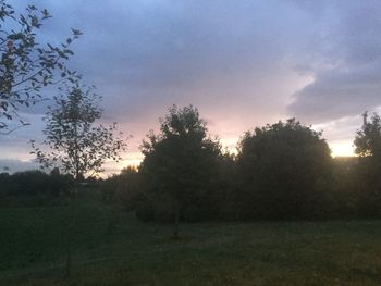 Trees on field against sky during sunset