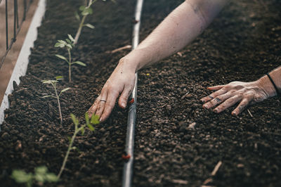 Low section of a person working on field and gardening 