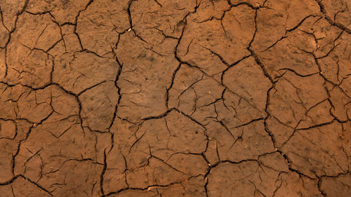 Full frame shot of cracked land
