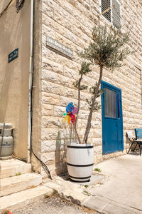 Rear view of woman sitting on old building