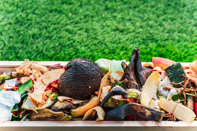 Close-up of mushrooms on table