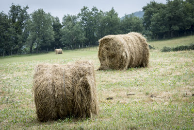 Hay bales on field against trees