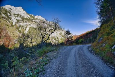 Road amidst trees against sky